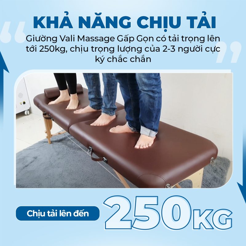 Giường vali massage trị liệu gấp gọn HMBB-8103