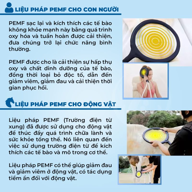 Máy trị liệu PEMF điện từ trường thông minh PMST LOOP MAX