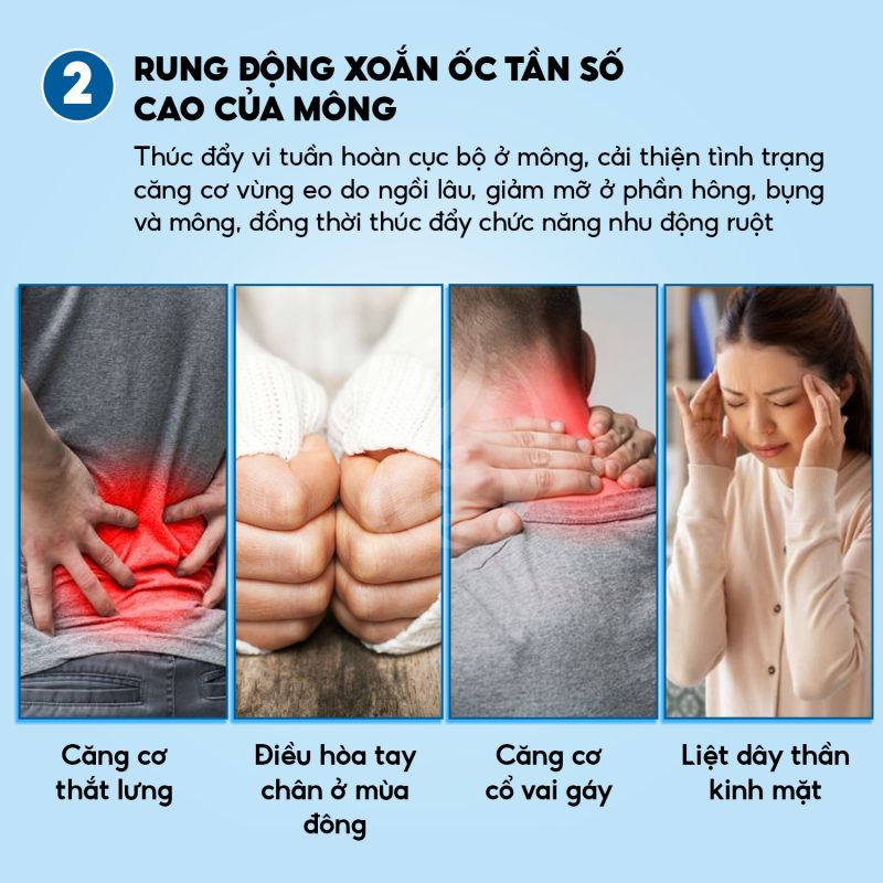 Máy Rung Trị Liệu Tay, Chân và Hông